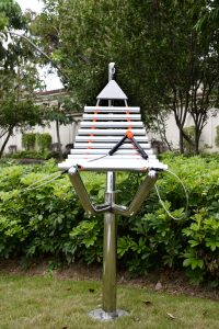 教导官琴C让音乐成为你的户外故事！